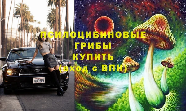 PSILOCYBIN Абинск