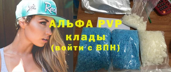 крисы Магас