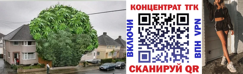 купить закладку  Карталы  Дистиллят ТГК Wax 