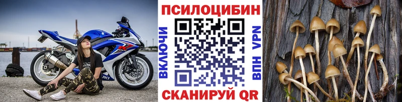 Галлюциногенные грибы Magic Shrooms  Карталы 